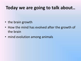 Today we are going to talk about..
• the brain growth
• How the mind has evolved after the growth of
the brain
• mind evolution among animals
 