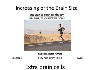Increasing of the Brain Size
endurance running theory
Humans are the best marathon runners
Extra brain cells
Long legs body hair (overheating) Sweat
modifications for running
 