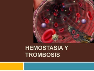 HEMOSTASIA Y
TROMBOSIS
 