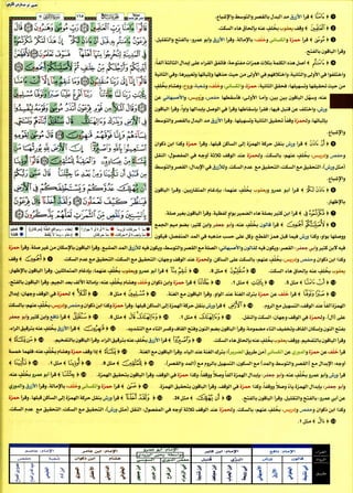 كتاب القراءات العشر الكبرى للشيخ المعصراوي بهامش مصحف التجويد  بالترميز اللوني للمهندس صبحي طه الجزء الثاني