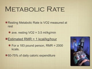 Metabolic Rate
Resting Metabolic Rate is VO2 measured at
rest
ave. resting VO2 = 3.5 ml/kg/min
Estimated RMR = 1 kcal/kg/hour
For a 183 pound person, RMR = 2000
kcals.
60-75% of daily caloric expenditure
 