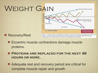 Recovery/Rest
Eccentric muscle contractions damage muscle
proteins.
Proteins are replaced for the next 48
hours or more.
Adequate rest and recovery period are critical for
complete muscle repair and growth
Weight Gain
 