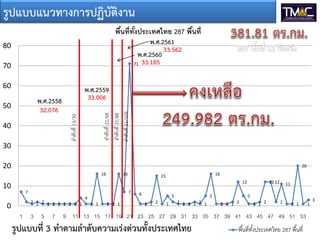 7
2 1 2 1 1 1 1 1 1 1
4
1 1
16
1 1 1
16
7
71
6
1 1 2
15
1
5
2 1 1 1 2 1
5
16
1 1 1 2
12
5
1 1 2
1212
2
11
1 1
20
1
3
0
10
20
30
40
50
60
70
80
1 3 5 7 9 11 13 15 17 19 21 23 25 27 29 31 33 35 37 39 41 43 45 47 49 51 53
พื้นที่ทั้งประเทศไทย 287 พื้นที่
พื้นที่ทั้งประเทศไทย 287 พื้นที่
พ.ศ.2558
พ.ศ.2559
พ.ศ.2560
พ.ศ.2561
32.076
33.006
33.185
33.562
รูปแบบแนวทางการปฏิบัติงาน
รูปแบบที่ 3 ทําตามลําดับความเรงดวนทั้งประเทศไทย
ลําดับที่15/30
ลําดับที่21/68
ลําดับที่21/88
ลําดับที่21/109
 