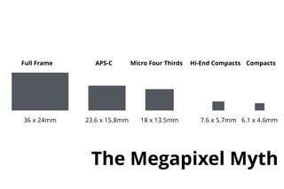 Full Frame APS-C Micro Four Thirds Hi-End Compacts Compacts
36 x 24mm 23.6 x 15.8mm 18 x 13.5mm 7.6 x 5.7mm 6.1 x 4.6mm
The Megapixel Myth
