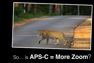 So… is APS-C = More Zoom?