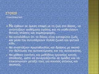ΣΥΝΑΙΣΘΗΜΑΤΙΚΟΙ
 Να έρθουν σε άμεση επαφή με τη ζωή στο δάσος, να
αναπτύξουν αισθήματα αγάπης και να υιοθετήσουν
θετικές στάσεις και συμπεριφορές.
 Να καταλάβουν ότι το δάσος είναι καταφύγιο ζωής
και μέσα του συνυπάρχουν πολλά ζωικά και φυτικά
είδη.
 Να αναπτύξουν πρωτοβουλίες και δράσεις με σκοπό
την βελτίωση της αυτοεκτίμησης και της αυτοεικόνας.
 Να μάθουν κανόνες και μεθόδους εργασίας κοινής
αποδοχής, ώστε να συνεργάζονται σε ομάδες και να
επικοινωνούν μεταξύ τους για κοινούς στόχους και
σκοπούς.
 