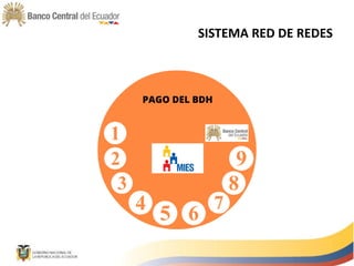 SISTEMA RED DE REDES
 