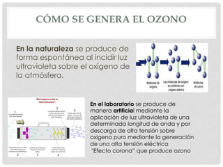 CÓMO SE GENERA EL OZONO
En la naturaleza se produce de
forma espontánea al incidir luz
ultravioleta sobre el oxígeno de
la atmósfera.
En el laboratorio se produce de
manera artificial mediante la
aplicación de luz ultravioleta de una
determinada longitud de onda y por
descarga de alta tensión sobre
oxigeno puro mediante la generación
de una alta tensión eléctrica
"Efecto corona” que produce ozono
 