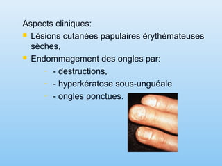 Aspects cliniques:
 Lésions cutanées papulaires érythémateuses
sèches,
 Endommagement des ongles par:
- - destructions,
- - hyperkératose sous-unguéale
- - ongles ponctues.
 