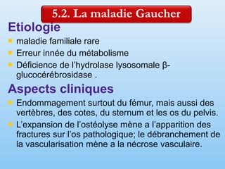 Etiologie
 maladie familiale rare
 Erreur innée du métabolisme
 Déficience de l’hydrolase lysosomale β-
glucocérébrosidase .
Aspects cliniques
 Endommagement surtout du fémur, mais aussi des
vertèbres, des cotes, du sternum et les os du pelvis.
 L’expansion de l’ostéolyse mène a l’apparition des
fractures sur l’os pathologique; le débranchement de
la vascularisation mène a la nécrose vasculaire.
 