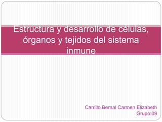 Carrillo Bernal Carmen Elizabeth
Grupo:09
Estructura y desarrollo de células,
órganos y tejidos del sistema
inmune
 