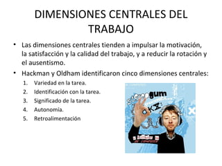 DIMENSIONES CENTRALES DEL
TRABAJO
• Las dimensiones centrales tienden a impulsar la motivación,
la satisfacción y la calidad del trabajo, y a reducir la rotación y
el ausentismo.
• Hackman y Oldham identificaron cinco dimensiones centrales:
1. Variedad en la tarea.
2. Identificación con la tarea.
3. Significado de la tarea.
4. Autonomía.
5. Retroalimentación
 
