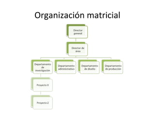 Organización matricial
 