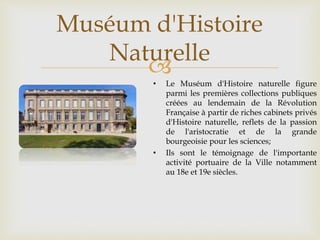 
• Le Muséum d'Histoire naturelle figure
parmi les premières collections publiques
créées au lendemain de la Révolution
Française à partir de riches cabinets privés
d'Histoire naturelle, reflets de la passion
de l'aristocratie et de la grande
bourgeoisie pour les sciences;
• Ils sont le témoignage de l'importante
activité portuaire de la Ville notamment
au 18e et 19e siècles.
Muséum d'Histoire
Naturelle
 