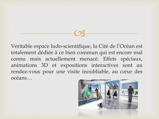 
Véritable espace ludo-scientifique, la Cité de l’Océan est
totalement dédiée à ce bien commun qui est encore mal
connu mais actuellement menacé. Effets spéciaux,
animations 3D et expositions interactives sont au
rendez-vous pour une visite inoubliable, au cœur des
océans…
 