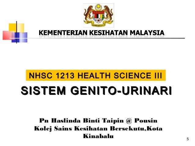 2.0 urinary system