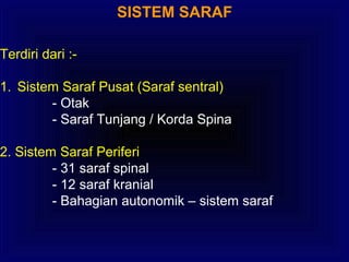 Terdiri dari :-
1. Sistem Saraf Pusat (Saraf sentral)
- Otak
- Saraf Tunjang / Korda Spina
2. Sistem Saraf Periferi
- 31 saraf spinal
- 12 saraf kranial
- Bahagian autonomik – sistem saraf
SISTEM SARAF
 