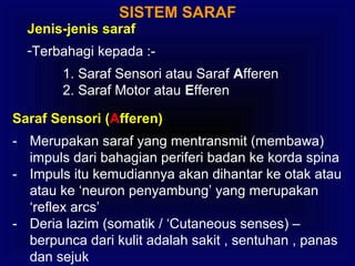SISTEM SARAF
Jenis-jenis saraf
-Terbahagi kepada :-
1. Saraf Sensori atau Saraf Afferen
2. Saraf Motor atau Efferen
Saraf Sensori (Afferen)
- Merupakan saraf yang mentransmit (membawa)
impuls dari bahagian periferi badan ke korda spina
- Impuls itu kemudiannya akan dihantar ke otak atau
atau ke ‘neuron penyambung’ yang merupakan
‘reflex arcs’
- Deria lazim (somatik / ‘Cutaneous senses) –
berpunca dari kulit adalah sakit , sentuhan , panas
dan sejuk
 