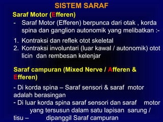 SISTEM SARAF
Saraf Motor (Efferen)
- Saraf Motor (Efferen) berpunca dari otak , korda
spina dan ganglion autonomik yang melibatkan :-
1. Kontraksi dan reflek otot skeletal
2. Kontraksi involuntari (luar kawal / autonomik) otot
licin dan rembesan kelenjar
Saraf campuran (Mixed Nerve / Afferen &
Efferen)
- Di korda spina – Saraf sensori & saraf motor
adalah berasingan
- Di luar korda spina saraf sensori dan saraf motor
yang tersusun dalam satu lapisan sarung /
tisu – dipanggil Saraf campuran
 
