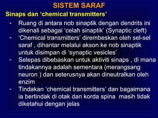 SISTEM SARAF
Sinaps dan ‘chemical transmitters’
- Ruang di antara nob sinaptik dengan dendrits ini
dikenali sebagai ‘celah sinaptik’ (Synaptic cleft)
- ‘Chemical transmitters’ dirembeskan oleh sel-sel
saraf , dihantar melalui akson ke nob sinaptik
untuk disimpan di ‘synaptic vesicles’
- Selepas dibebaskan untuk aktiviti sinaps , di mana
tindakannya adalah sementara (merangsang
neuron ) dan seterusnya akan dineutralkan oleh
enzim
- Tindakan ‘chemical transmitters’ dan bagaimana
ia bertindak di otak dan korda spina masih tidak
diketahui dengan jelas
 