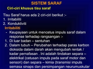 SISTEM SARAF
Ciri-ciri khusus tisu saraf
Tisu Saraf harus ada 2 ciri-ciri berikut :-
1. Irritabiliti
2. Konduktiviti
Irritabiliti
- Keupayaan untuk mencetus impuls saraf dalam
response terhadap rangsangan :-
1. Di luar badan – sentuhan
2. Dalam tubuh – Perubahan terhadap paras karbon
dioksida dalam darah akan mengubah rentak /
kadar pernafasan . Ini adalah tindakan separa –
elektrikal (cetusan impuls pada saraf motor dan
sensori) dan separa – kimia (transmisi impuls
semasa sinaps dan persimpangan neurumuskular
 