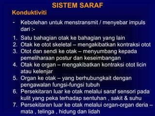 SISTEM SARAF
Konduktiviti
- Kebolehan untuk menstransmit / menyebar impuls
dari :-
1. Satu bahagian otak ke bahagian yang lain
2. Otak ke otot skeletal – mengakibatkan kontraksi otot
3. Otot dan sendi ke otak – menyumbang kepada
pemeliharaan postur dan keseimbangan
4. Otak ke organ – mengakibatkan kontraksi otot licin
atau kelenjar
5. Organ ke otak – yang berhubungkait dengan
pengawalan fungsi-fungsi tubuh
6. Persekitaran luar ke otak melalui saraf sensori pada
kulit yang peka terhadap sentuhan , sakit & suhu
7. Persekitaran luar ke otak melalui organ-organ deria –
mata , telinga , hidung dan lidah
 