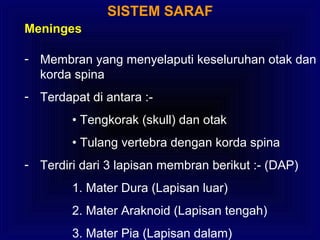 SISTEM SARAF
Meninges
- Membran yang menyelaputi keseluruhan otak dan
korda spina
- Terdapat di antara :-
• Tengkorak (skull) dan otak
• Tulang vertebra dengan korda spina
- Terdiri dari 3 lapisan membran berikut :- (DAP)
1. Mater Dura (Lapisan luar)
2. Mater Araknoid (Lapisan tengah)
3. Mater Pia (Lapisan dalam)
 