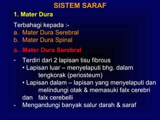 SISTEM SARAF
1. Mater Dura
Terbahagi kepada :-
a. Mater Dura Serebral
b. Mater Dura Spinal
a. Mater Dura Serebral
- Terdiri dari 2 lapisan tisu fibrous
• Lapisan luar – menyelaputi bhg. dalam
tengkorak (periosteum)
• Lapisan dalam – lapisan yang menyelaputi dan
melindungi otak & memasuki falx cerebri
dan falx cerebelli
- Mengandungi banyak salur darah & saraf
 