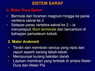 SISTEM SARAF
b. Mater Dura Spinal
- Bermula dari foramen magnum hingga ke paras
vertebra sakral ke 2
- Selepas paras vertebra sakral ke 2 – ia
menyelaputi filum terminale dan bercantum di
bahagian periosteum koksik
2. Mater Araknoid
- Terdiri dari membran serous yang nipis dan
rapuh seperti sarang labah-labah
- Mempunyai kurang bekalan darah
- Lapisan membran yang terletak di antara Mater
Dura dan Mater Pia
 