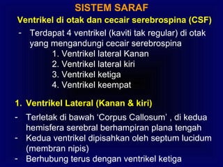 SISTEM SARAF
Ventrikel di otak dan cecair serebrospina (CSF)
- Terdapat 4 ventrikel (kaviti tak regular) di otak
yang mengandungi cecair serebrospina
1. Ventrikel lateral Kanan
2. Ventrikel lateral kiri
3. Ventrikel ketiga
4. Ventrikel keempat
1. Ventrikel Lateral (Kanan & kiri)
- Terletak di bawah ‘Corpus Callosum’ , di kedua
hemisfera serebral berhampiran plana tengah
- Kedua ventrikel dipisahkan oleh septum lucidum
(membran nipis)
- Berhubung terus dengan ventrikel ketiga
 