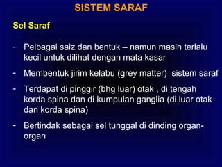 SISTEM SARAF
Sel Saraf
- Pelbagai saiz dan bentuk – namun masih terlalu
kecil untuk dilihat dengan mata kasar
- Membentuk jirim kelabu (grey matter) sistem saraf
- Terdapat di pinggir (bhg luar) otak , di tengah
korda spina dan di kumpulan ganglia (di luar otak
dan korda spina)
- Bertindak sebagai sel tunggal di dinding organ-
organ
 