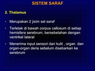 2. Thalamus
- Merupakan 2 jisim sel saraf
- Terletak di bawah corpus callosum di setiap
hemisfera serebrum, bersebelahan dengan
ventrikel lateral
- Menerima input sensori dari kulit , organ dan
organ-organ deria sebelum disebarkan ke
serebrum
SISTEM SARAF
 