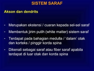 SISTEM SARAF
Akson dan dendrits
- Merupakan ekstensi / cuaran kepada sel-sel saraf
- Membentuk jirim putih (white matter) sistem saraf
- Terdapat pada bahagian medulla / ‘dalam’ otak
dan korteks / pinggir korda spina
- Dikenali sebagai saraf atau fiber saraf apabila
terdapat di luar otak dan korda spina
 