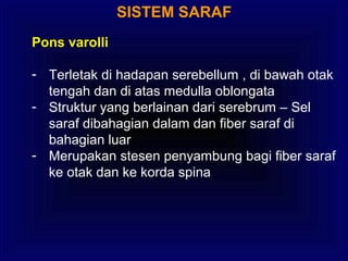 SISTEM SARAF
Pons varolli
- Terletak di hadapan serebellum , di bawah otak
tengah dan di atas medulla oblongata
- Struktur yang berlainan dari serebrum – Sel
saraf dibahagian dalam dan fiber saraf di
bahagian luar
- Merupakan stesen penyambung bagi fiber saraf
ke otak dan ke korda spina
 