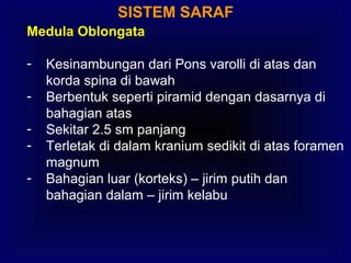 SISTEM SARAF
Medula Oblongata
- Kesinambungan dari Pons varolli di atas dan
korda spina di bawah
- Berbentuk seperti piramid dengan dasarnya di
bahagian atas
- Sekitar 2.5 sm panjang
- Terletak di dalam kranium sedikit di atas foramen
magnum
- Bahagian luar (korteks) – jirim putih dan
bahagian dalam – jirim kelabu
 