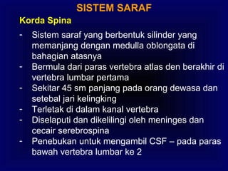 SISTEM SARAF
Korda Spina
- Sistem saraf yang berbentuk silinder yang
memanjang dengan medulla oblongata di
bahagian atasnya
- Bermula dari paras vertebra atlas den berakhir di
vertebra lumbar pertama
- Sekitar 45 sm panjang pada orang dewasa dan
setebal jari kelingking
- Terletak di dalam kanal vertebra
- Diselaputi dan dikelilingi oleh meninges dan
cecair serebrospina
- Penebukan untuk mengambil CSF – pada paras
bawah vertebra lumbar ke 2
 