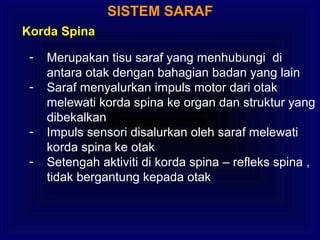 SISTEM SARAF
Korda Spina
- Merupakan tisu saraf yang menhubungi di
antara otak dengan bahagian badan yang lain
- Saraf menyalurkan impuls motor dari otak
melewati korda spina ke organ dan struktur yang
dibekalkan
- Impuls sensori disalurkan oleh saraf melewati
korda spina ke otak
- Setengah aktiviti di korda spina – refleks spina ,
tidak bergantung kepada otak
 