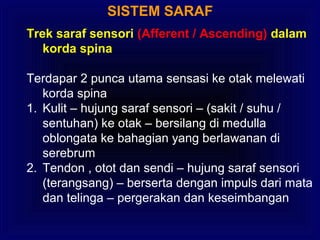 SISTEM SARAF
Trek saraf sensori (Afferent / Ascending) dalam
korda spina
Terdapar 2 punca utama sensasi ke otak melewati
korda spina
1. Kulit – hujung saraf sensori – (sakit / suhu /
sentuhan) ke otak – bersilang di medulla
oblongata ke bahagian yang berlawanan di
serebrum
2. Tendon , otot dan sendi – hujung saraf sensori
(terangsang) – berserta dengan impuls dari mata
dan telinga – pergerakan dan keseimbangan
 