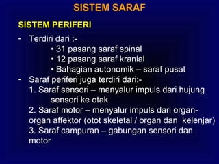 SISTEM SARAF
SISTEM PERIFERI
- Terdiri dari :-
• 31 pasang saraf spinal
• 12 pasang saraf kranial
• Bahagian autonomik – saraf pusat
- Saraf periferi juga terdiri dari:-
1. Saraf sensori – menyalur impuls dari hujung
sensori ke otak
2. Saraf motor – menyalur impuls dari organ-
organ affektor (otot skeletal / organ dan kelenjar)
3. Saraf campuran – gabungan sensori dan
motor
 