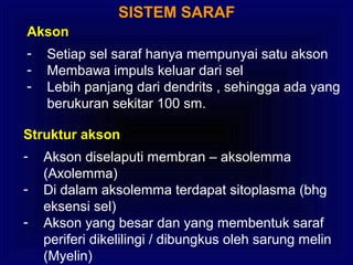 SISTEM SARAF
Akson
- Setiap sel saraf hanya mempunyai satu akson
- Membawa impuls keluar dari sel
- Lebih panjang dari dendrits , sehingga ada yang
berukuran sekitar 100 sm.
Struktur akson
- Akson diselaputi membran – aksolemma
(Axolemma)
- Di dalam aksolemma terdapat sitoplasma (bhg
eksensi sel)
- Akson yang besar dan yang membentuk saraf
periferi dikelilingi / dibungkus oleh sarung melin
(Myelin)
 