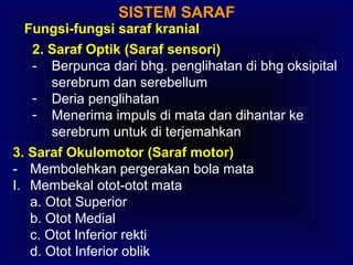 SISTEM SARAF
Fungsi-fungsi saraf kranial
2. Saraf Optik (Saraf sensori)
- Berpunca dari bhg. penglihatan di bhg oksipital
serebrum dan serebellum
- Deria penglihatan
- Menerima impuls di mata dan dihantar ke
serebrum untuk di terjemahkan
3. Saraf Okulomotor (Saraf motor)
- Membolehkan pergerakan bola mata
I. Membekal otot-otot mata
a. Otot Superior
b. Otot Medial
c. Otot Inferior rekti
d. Otot Inferior oblik
 