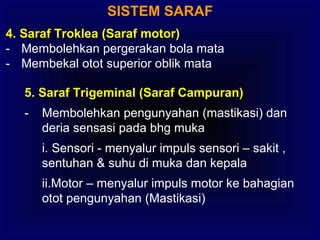 SISTEM SARAF
4. Saraf Troklea (Saraf motor)
- Membolehkan pergerakan bola mata
- Membekal otot superior oblik mata
5. Saraf Trigeminal (Saraf Campuran)
- Membolehkan pengunyahan (mastikasi) dan
deria sensasi pada bhg muka
i. Sensori - menyalur impuls sensori – sakit ,
sentuhan & suhu di muka dan kepala
ii.Motor – menyalur impuls motor ke bahagian
otot pengunyahan (Mastikasi)
 