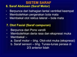 SISTEM SARAF
6. Saraf Abdusen (Saraf Motor)
- Berpunca dari bahagian lantai ventrikel keempat
- Membolehkan pergerakan bola mata
- Membekal otot rektus lateral – bola mata
7. Otot Fasial (Saraf campuran)
- Berpunca dari Pons varolli
- Membolehkan deria rasa dan ekspressi muka
- Membekal :-
a. Saraf motor – bhg. Otot-otot muka (ekspressi)
b. Saraf sensori – bhg. Tunas-tunas perasa di
2/3 anterior lidah
 