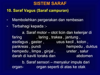 SISTEM SARAF
10. Saraf Vagus (Saraf campuran)
- Membolehkan pergerakan dan rembesan
- Terbahagi kepada :-
a. Saraf motor – otot licin dan kelenjar di
faring , laring , trakea , jantung ,
esofagus , gaster , usus kecil , kolon ,
pankreas , pundi hempedu , duktus
hempedu , limpa , ginjal , ureter , salur
darah di kaviti toraks dan abdomen
b. Saraf sensori – menyalur impuls dari
organ- organ seperti di atas ke otak
 