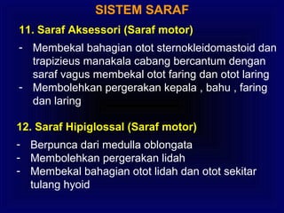 SISTEM SARAF
11. Saraf Aksessori (Saraf motor)
- Membekal bahagian otot sternokleidomastoid dan
trapizieus manakala cabang bercantum dengan
saraf vagus membekal otot faring dan otot laring
- Membolehkan pergerakan kepala , bahu , faring
dan laring
12. Saraf Hipiglossal (Saraf motor)
- Berpunca dari medulla oblongata
- Membolehkan pergerakan lidah
- Membekal bahagian otot lidah dan otot sekitar
tulang hyoid
 
