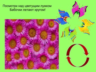 Посмотри над цветущим лужком
Бабочки летают кругом!