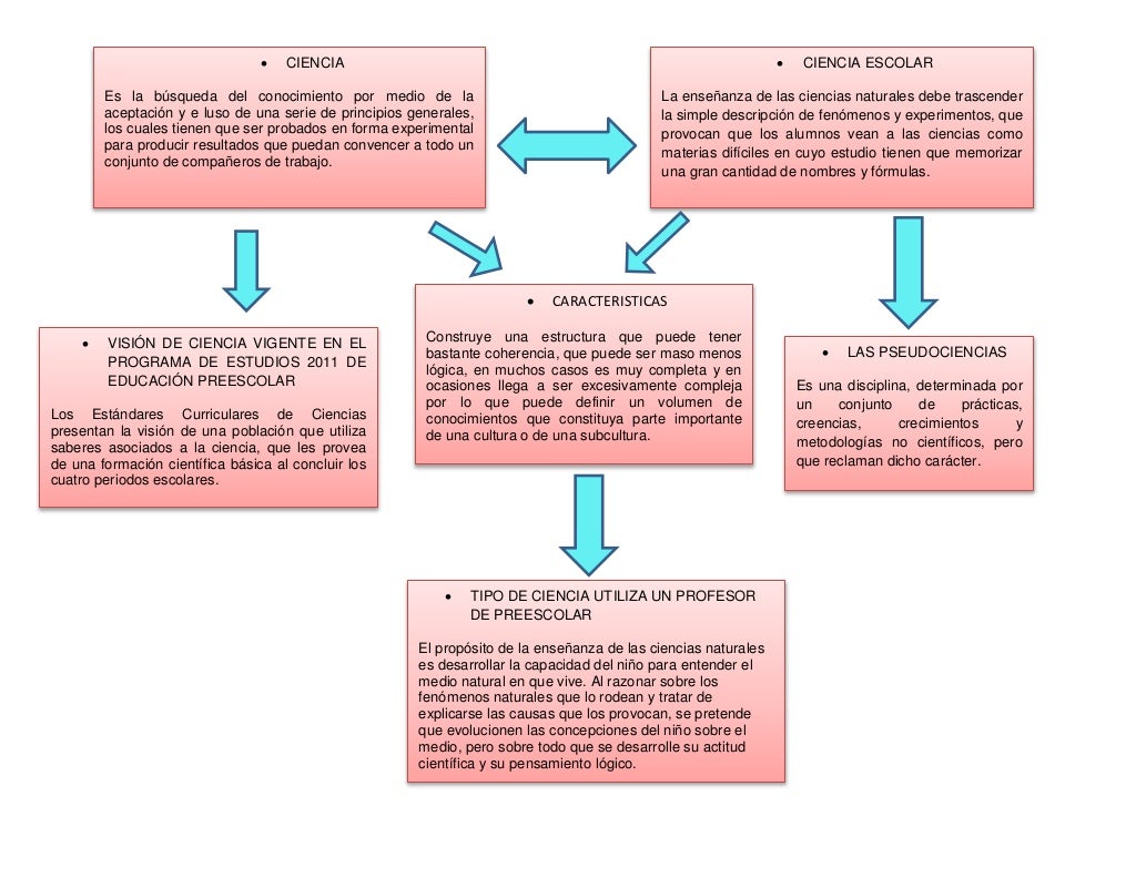 2.01 organizador gráfico