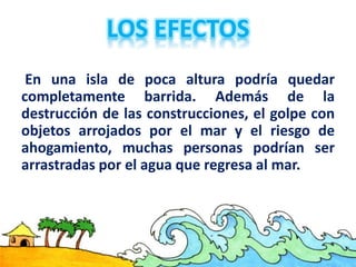 En una isla de poca altura podría quedar
completamente barrida. Además de la
destrucción de las construcciones, el golpe con
objetos arrojados por el mar y el riesgo de
ahogamiento, muchas personas podrían ser
arrastradas por el agua que regresa al mar.
 