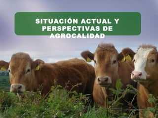 SITUACIÓN ACTUAL Y
PERSPECTIVAS DE
AGROCALIDAD
 