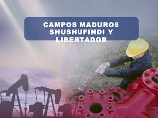 CAMPOS MADUROS
SHUSHUFINDI Y
LIBERTADOR
 